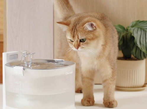 beneficios que tiene el uso de fuentes de agua para gatos
